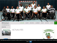 Tablet Screenshot of handisport.esbomnisports.com
